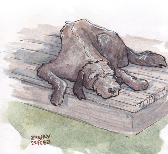 Sleepy Dog