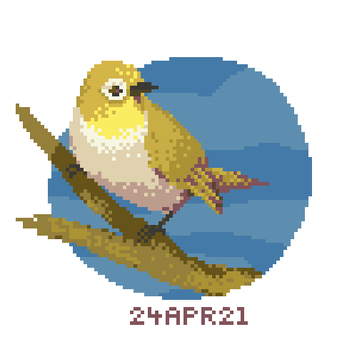 pixel bird