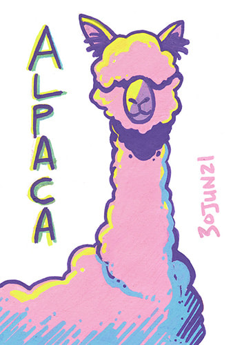 Alpaca.