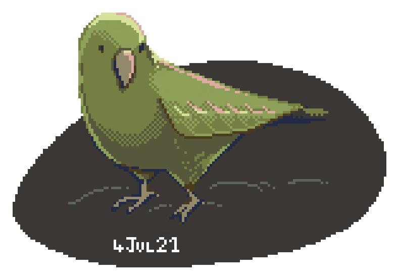 pixel kaka