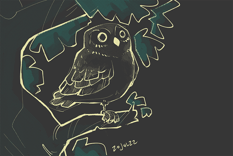morepork