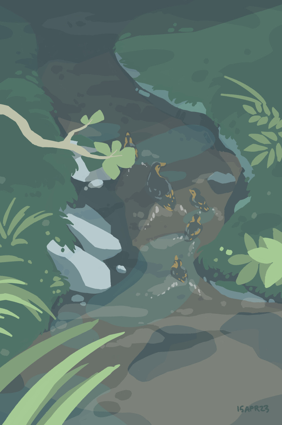ducks