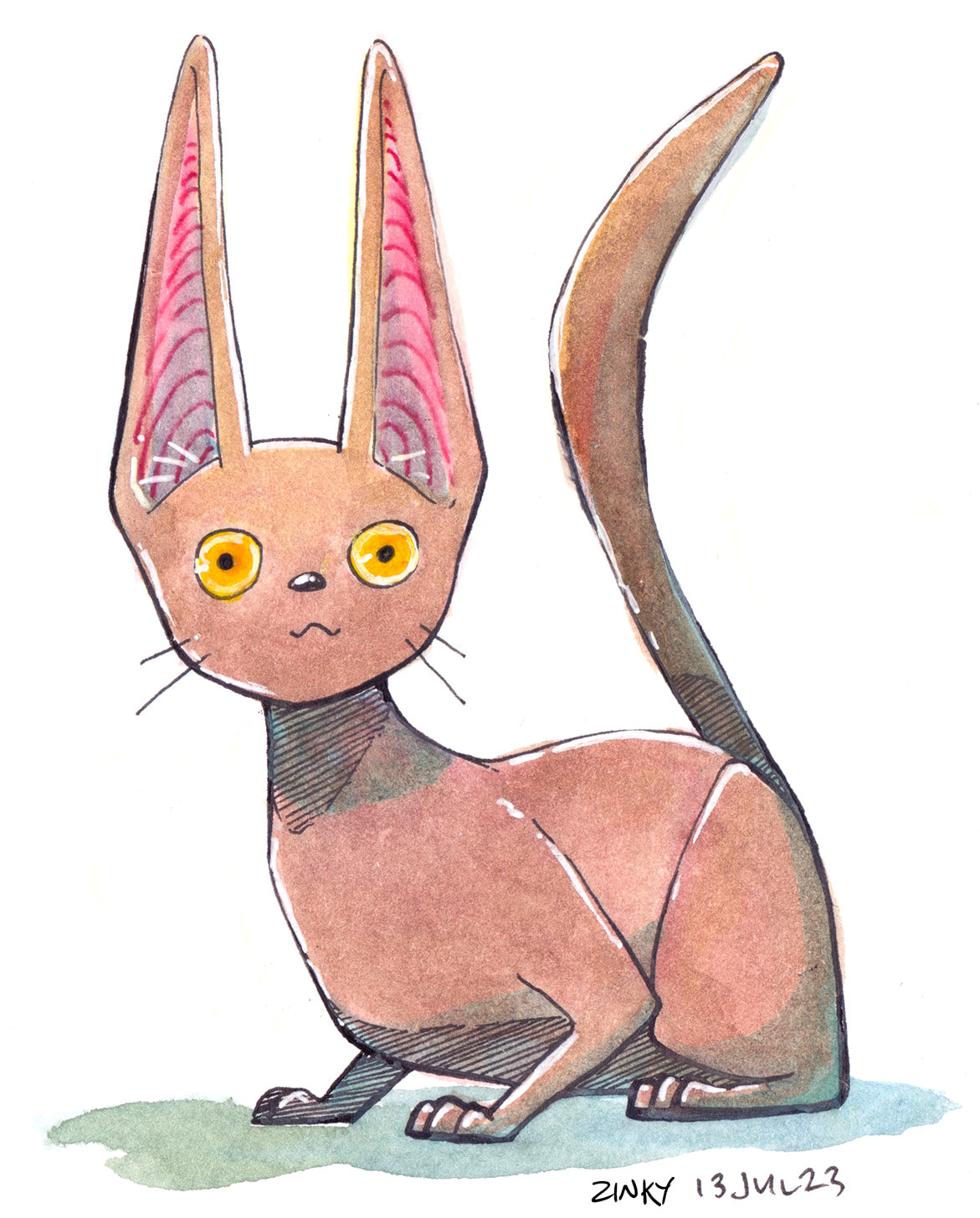 cat